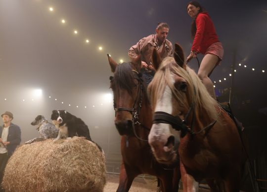 photo atelier de voltige e?questre